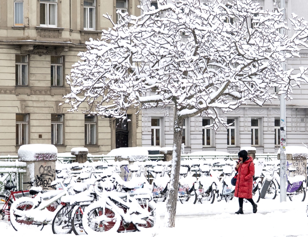 صور|-عاصفة-ثلجية-تضرب-النمسا.-مقتل-5-أشخاص-وتعطل-حركة-النقل