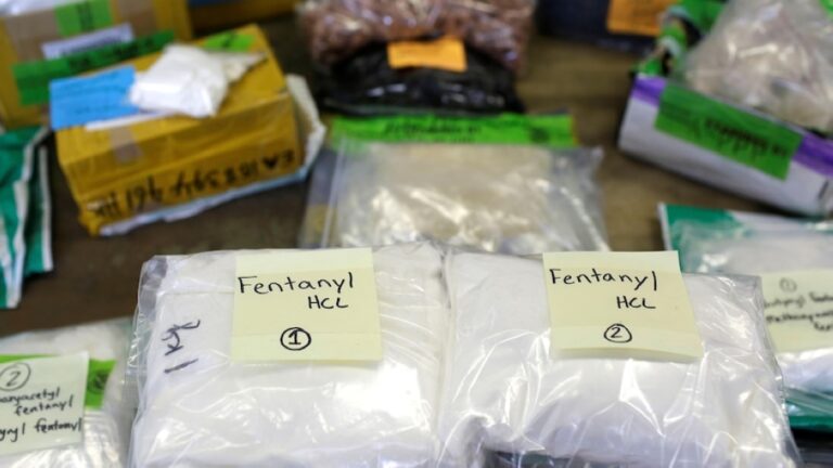 إحباط-شحنة-مواد-تكفي-لإنتاج-1.6-مليار-جرعة-من-الفنتانيل-القاتل