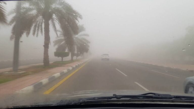 طقس-الشرقية.-ضباب-على-العديد-خلال-ساعات-الصباح-الباكر