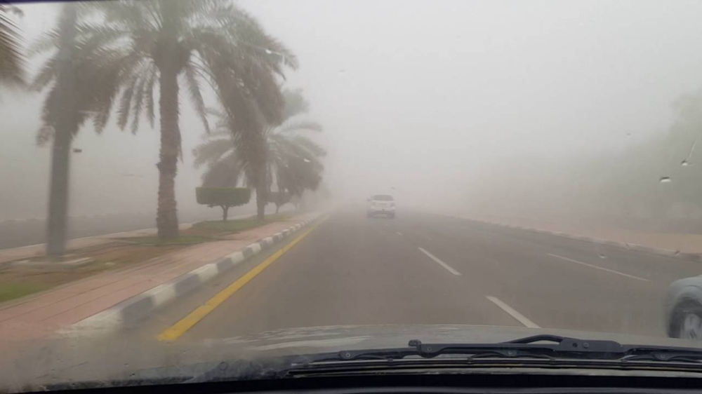 طقس-الشرقية.-ضباب-على-العديد-خلال-ساعات-الصباح-الباكر