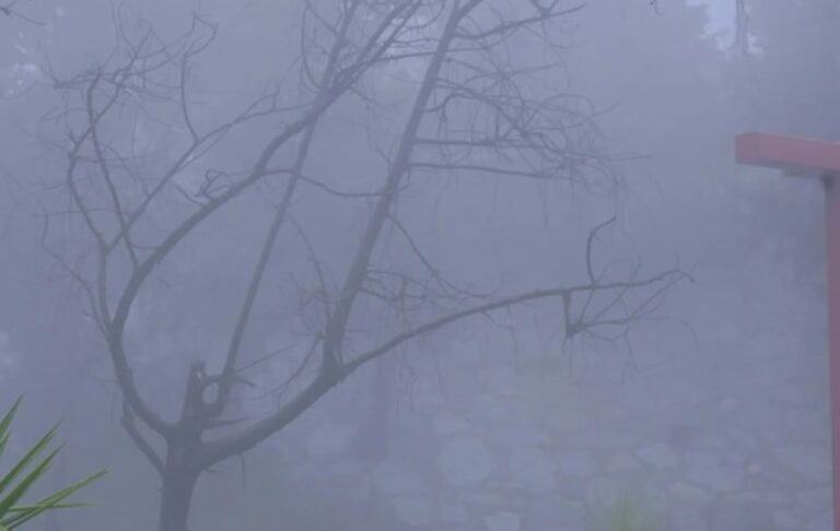 صور-|-الباحة-تحت-الضباب-والأمطار.-مشاهد-طبيعية-ساحرة-تجذب-الزوار