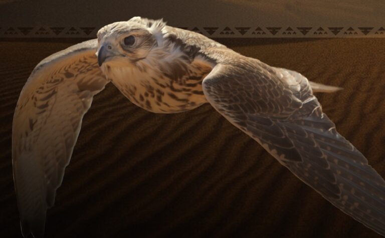 استمرار-جهود-تنفيذ-برنامج-“هدد”-لحماية-الصقور-وتعزيز-استدامتها