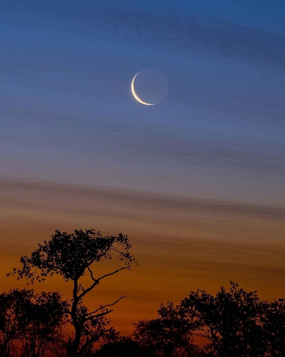 عاجل-–-قبل-مرحلة-المحاق.-فجر-الثلاثاء-يشهد-آخر-فرصة-لرصد-هلال-نهاية-رمضان