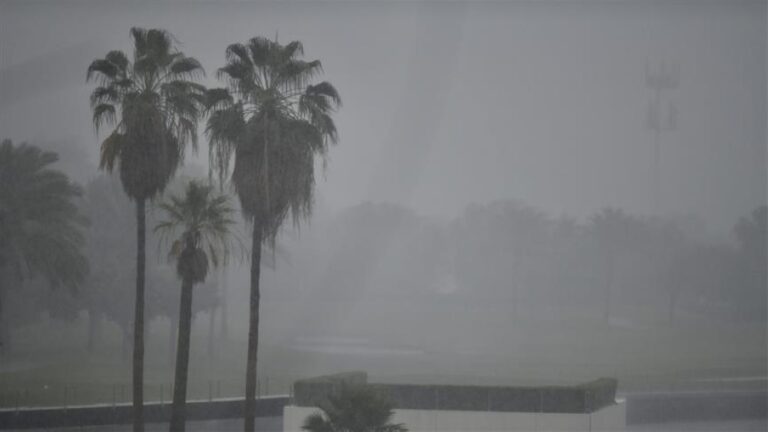 طقس-الصباح-الباكر.-ضباب-خفيف-وأمطار-متوسطة-على-الشرقية