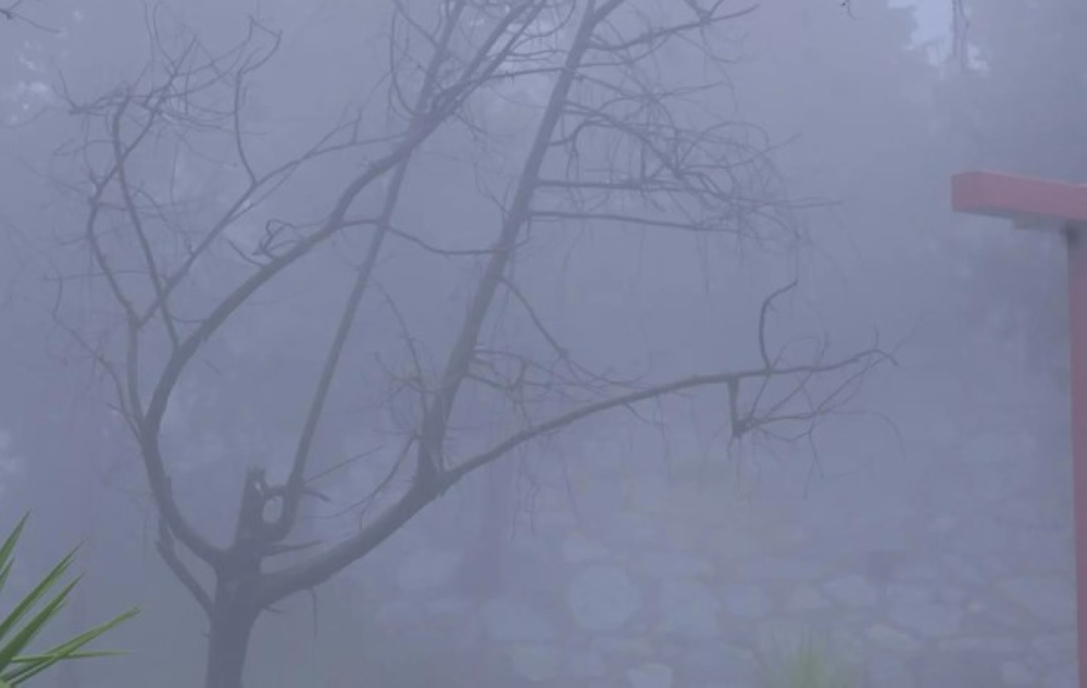 طقس-الصباح-الباكر.-ضباب-وشبه-انعدام-في-الرؤية-على-أجزاء-من-الشرقية