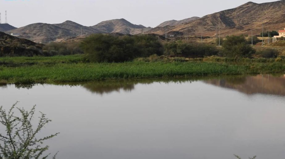 صور|-الأجواء-الماطرة-تزيّن-عيد-الفطر-في-عسير