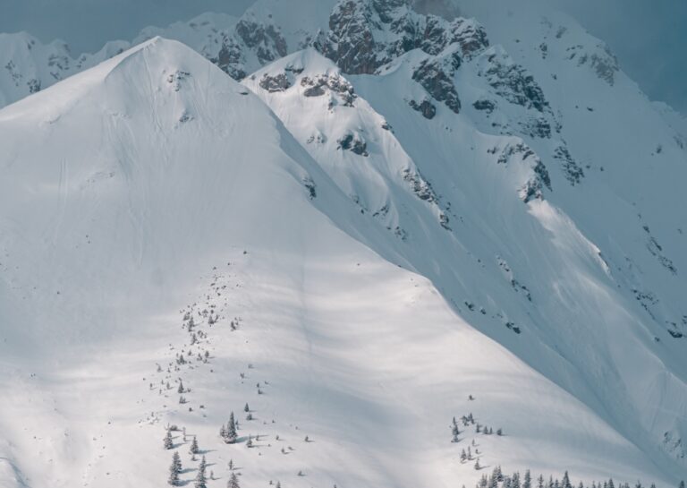 تواصل-البحث-عن-المفقودين.-مقتل-متزلجين-جراء-انهيار-جليدي-في-إيطاليا