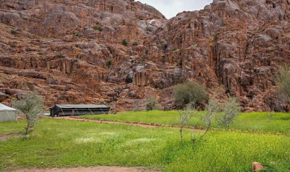 الطلعات-البرية-بحائل.-إقبال-على-المخيمات-في-أجواء-ربيعية-مميزة