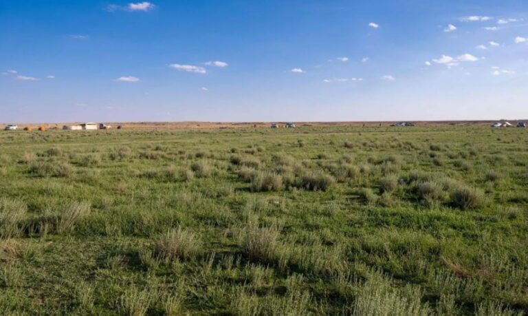 فياض”زبالا-الأثرية”.-لوحة-فنية-ترسمها-الأمطار-وتنعشها-الطلعات-البرية