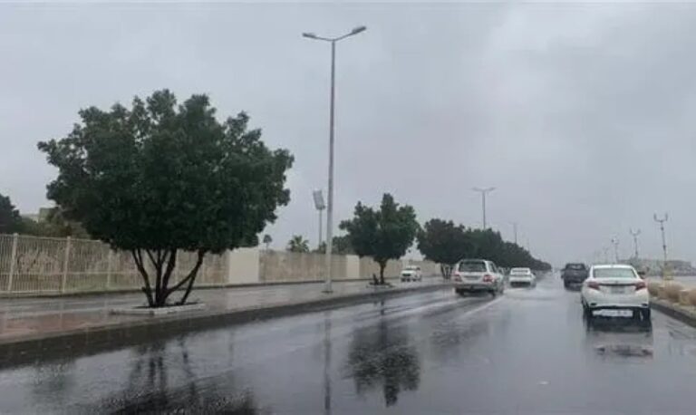 حتى-صباح-الثلاثاء.-أمطار-خفيفة-على-أجزاء-من-المنطقة-الشرقية