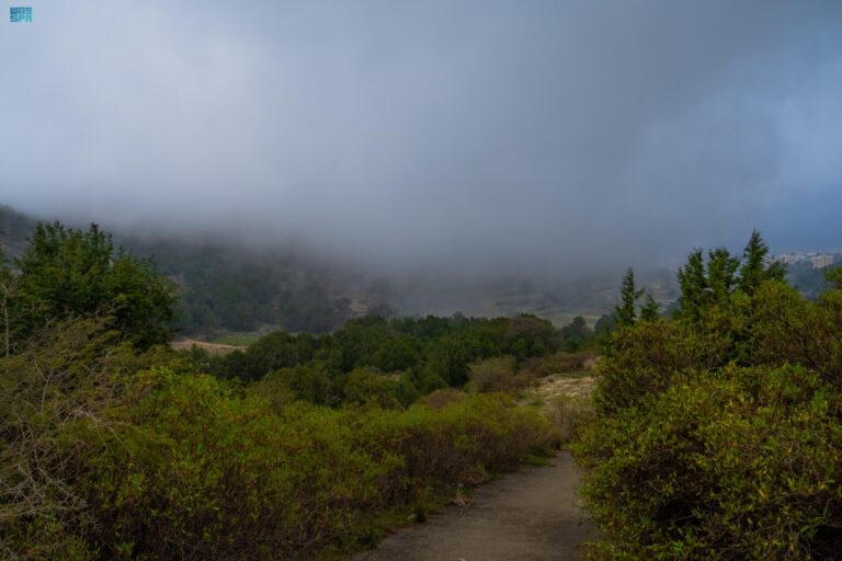 لوحة-طبيعية-مميزة.-أجواء-ضبابية-كثيفة-تزين-جبال-الباحة
