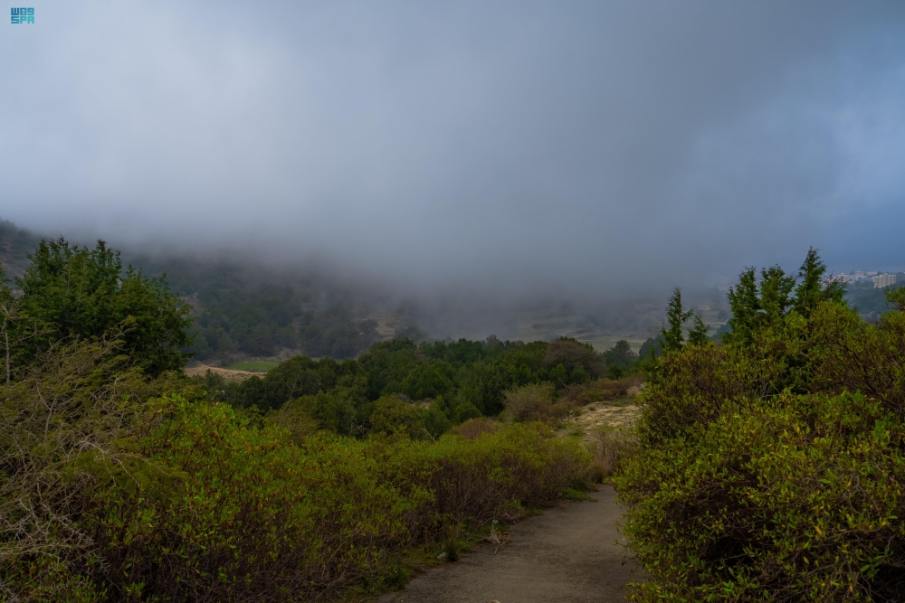 لوحة-طبيعية-مميزة.-أجواء-ضبابية-كثيفة-تزين-جبال-الباحة