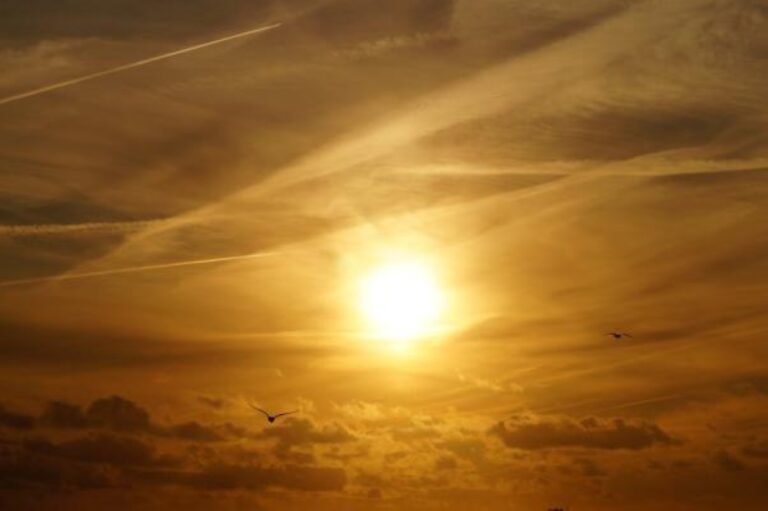 موجة-الحر-في-جنوبي-الصين-سببها-التغير-المناخي.-خبير-يوضح