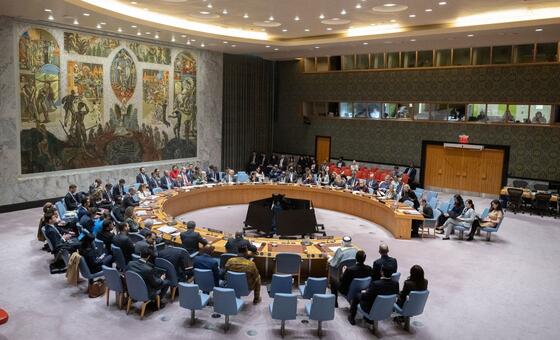 برئاسة-البحرين،-مجلس-الأمن-يعقد-لأول-مرة،-اجتماعا-حول-التعاون-مع-مجلس-التعاون-الخليجي