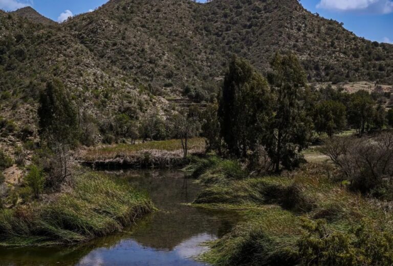 الباحة.-الأمطار-تُكسي-وادي-ضرك-حلة-ربيعية-زاهية