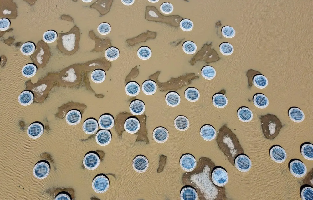 آبار وبرك الحدود الشمالية.. كنوز مائية تعزّز السياحة وتوثّق عمق التاريخ