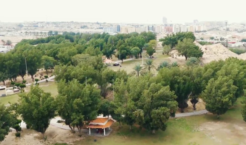 مدينة-الخبر.-تطور-متسارع-وتناغم-بين-التنمية-وجمال-الواجهة-البحرية