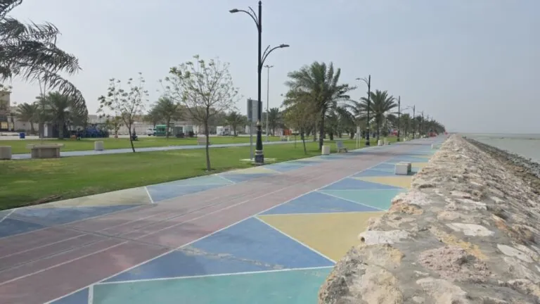 إنذار-أصفر-في-الشرقية.-رياح-نشطة-تخلي-الواجهات-البحرية