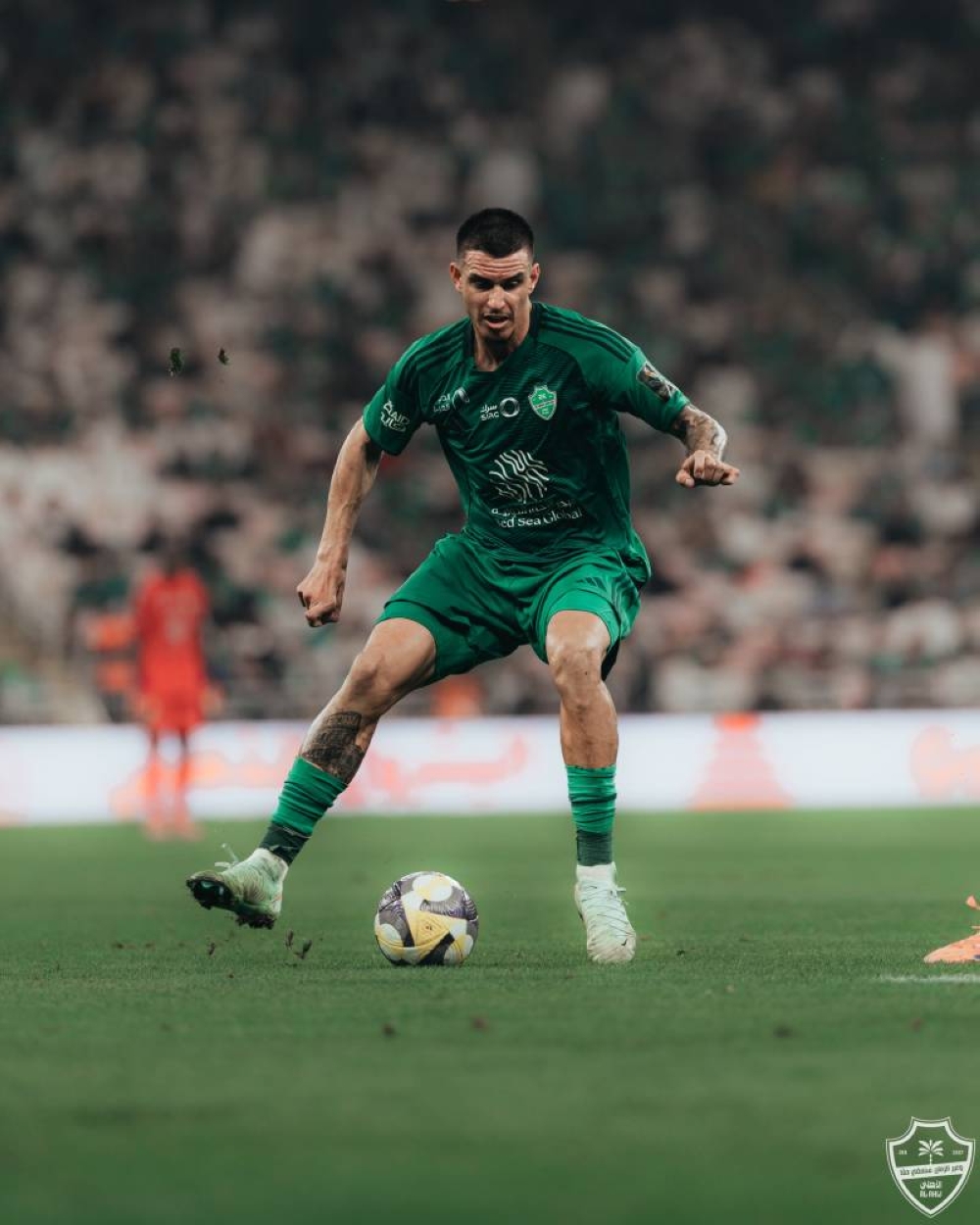 المحارب-جاهز