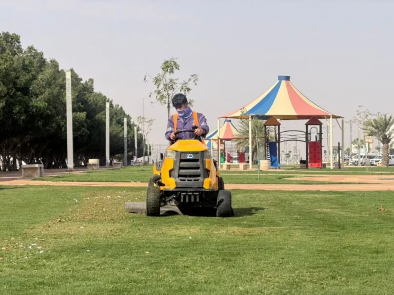 مسطحات-خضراء-وألعاب-أطفال.-زراعة-85-ألف-زهرة-و1365-شجرة-ببقيق