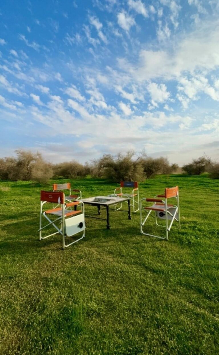 شاهد|-ربيع-رفحاء-يكسو-البراري-بالخضرة-عقب-هطول-الأمطار