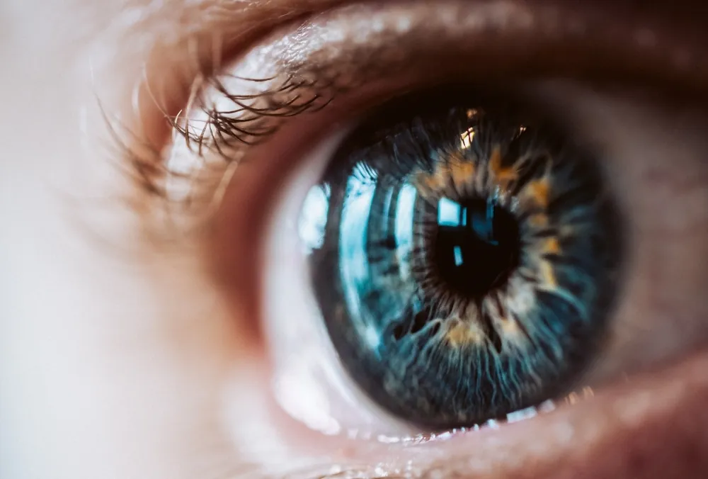 تناول-المأكولات-البحرية-النيئة-يسبب-أمراض-العيون.-دراسة-تكشف