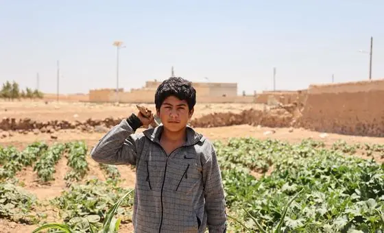 الفاو:-الصراع-في-الشرق-الأوسط-يضع-مزيدا-من-الضغوط-على-النظم-الزراعية-والغذائية-الهشة