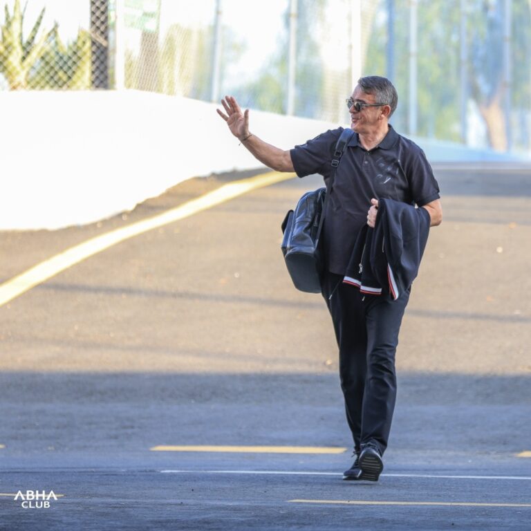 بوريتش-نظم-الخطوط-وخطف-الذهب