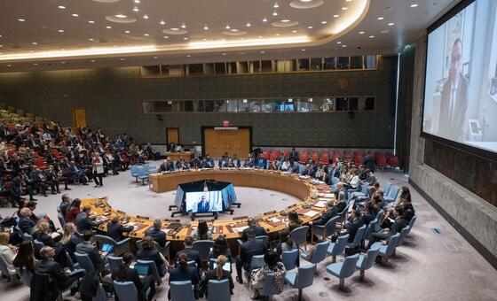 مجلس-الأمن-يبحث-القضية-الفلسطينية-ويستمع-إلى-إحاطة-من-مجلس-السلام