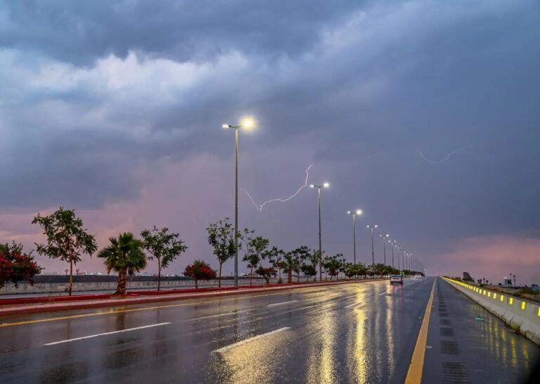 البرق-والسحب-والأمطار-تشكل-لوحة-طبيعية-تزين-سماء-الباحة