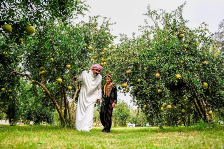 الباحة.-وجهة-زراعية-ورافد-اقتصادي-وغذائي-مهم-في-المملكة
