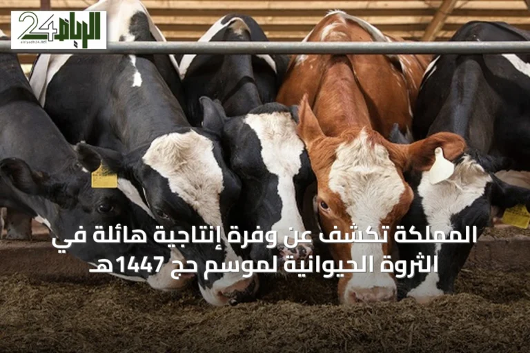 المملكة تكشف عن وفرة إنتاجية هائلة في الثروة الحيوانية لموسم حج 1447هـ