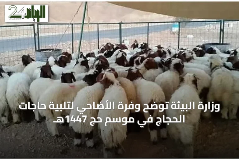 وزارة البيئة توضح وفرة الأضاحي لتلبية حاجات الحجاج في موسم حج 1447هـ
