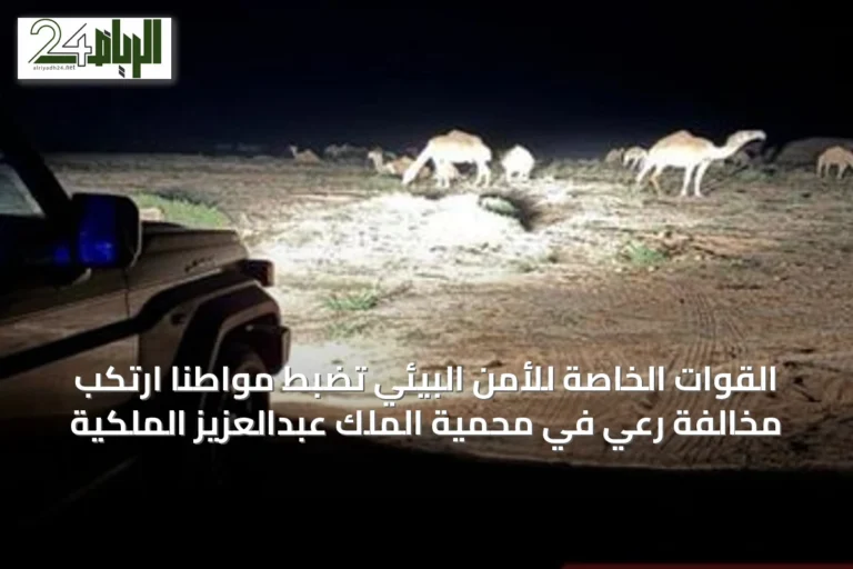 القوات الخاصة للأمن البيئي تضبط مواطنًا ارتكب مخالفة رعي في محمية الملك عبدالعزيز الملكية