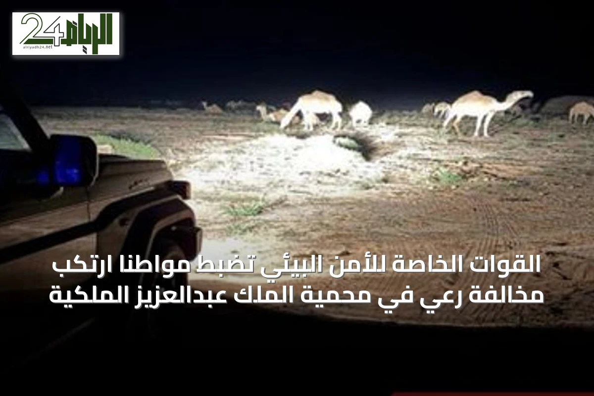 القوات الخاصة للأمن البيئي تضبط مواطنًا ارتكب مخالفة رعي في محمية الملك عبدالعزيز الملكية