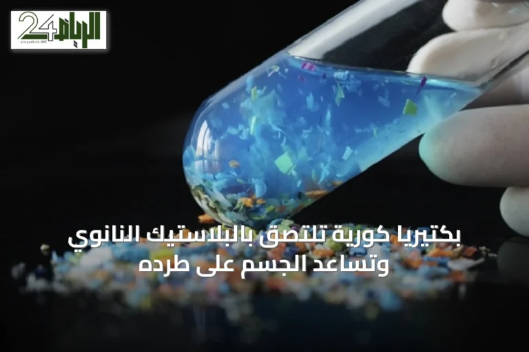 بكتيريا كورية تلتصق بالبلاستيك النانوي وتساعد الجسم على طرده
