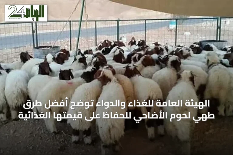 الهيئة العامة للغذاء والدواء توضح أفضل طرق طهي لحوم الأضاحي للحفاظ على قيمتها الغذائية
