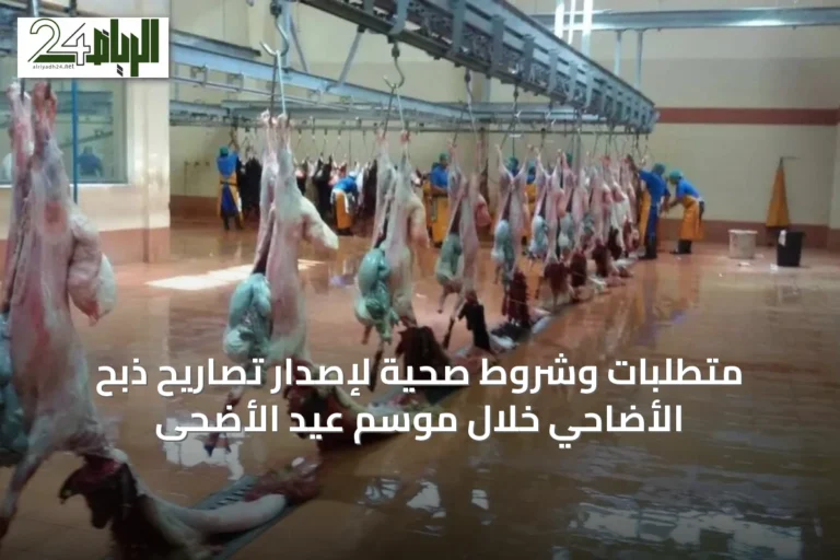 متطلبات وشروط صحية لإصدار تصاريح ذبح الأضاحي خلال موسم عيد الأضحى