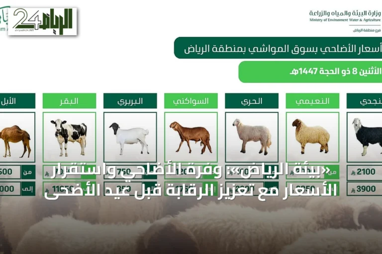 «بيئة الرياض»: وفرة الأضاحي واستقرار الأسعار مع تعزيز الرقابة قبل عيد الأضحى