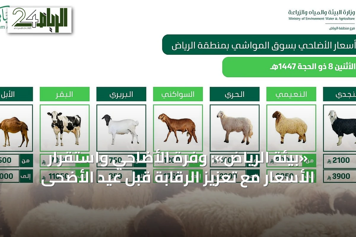 «بيئة الرياض»: وفرة الأضاحي واستقرار الأسعار مع تعزيز الرقابة قبل عيد الأضحى