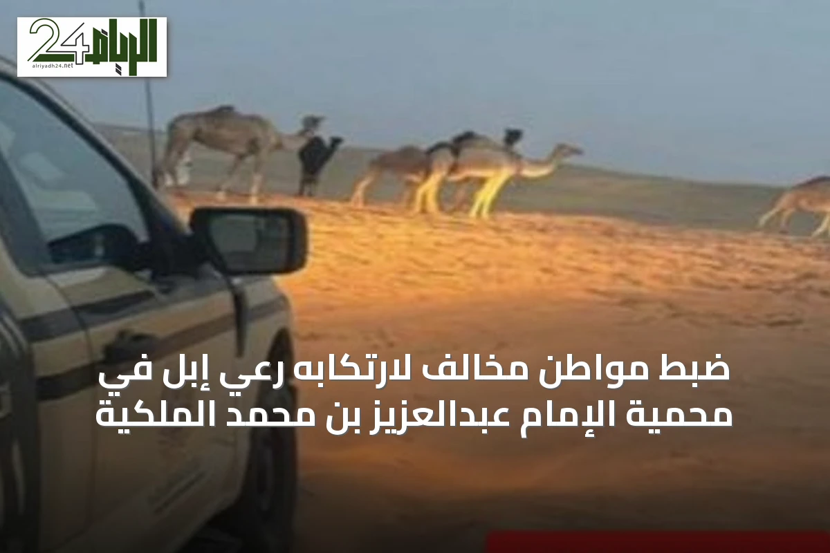 ضبط مواطن مخالف لارتكابه رعي إبل في محمية الإمام عبدالعزيز بن محمد الملكية