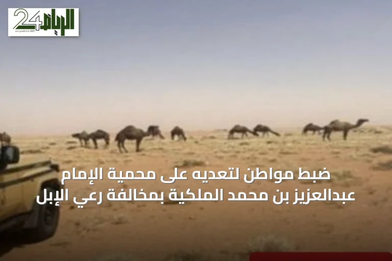 ضبط مواطن لتعديه على محمية الإمام عبدالعزيز بن محمد الملكية بمخالفة رعي الإبل