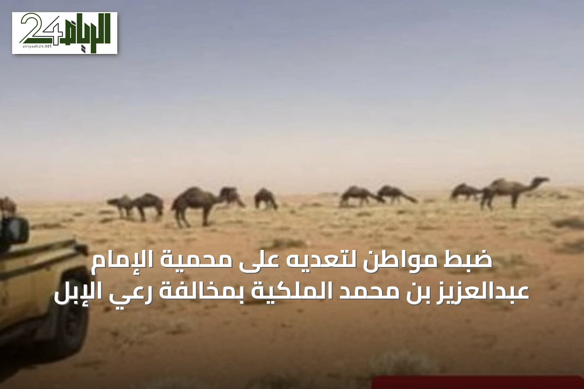 ضبط مواطن لتعديه على محمية الإمام عبدالعزيز بن محمد الملكية بمخالفة رعي الإبل