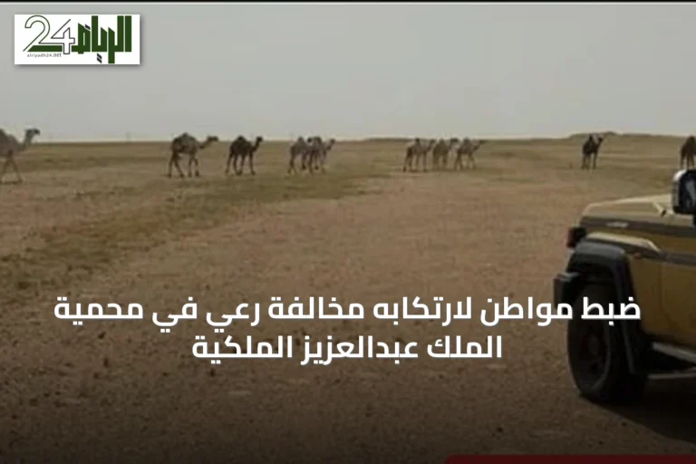 ضبط مواطن لارتكابه مخالفة رعي في محمية الملك عبدالعزيز الملكية