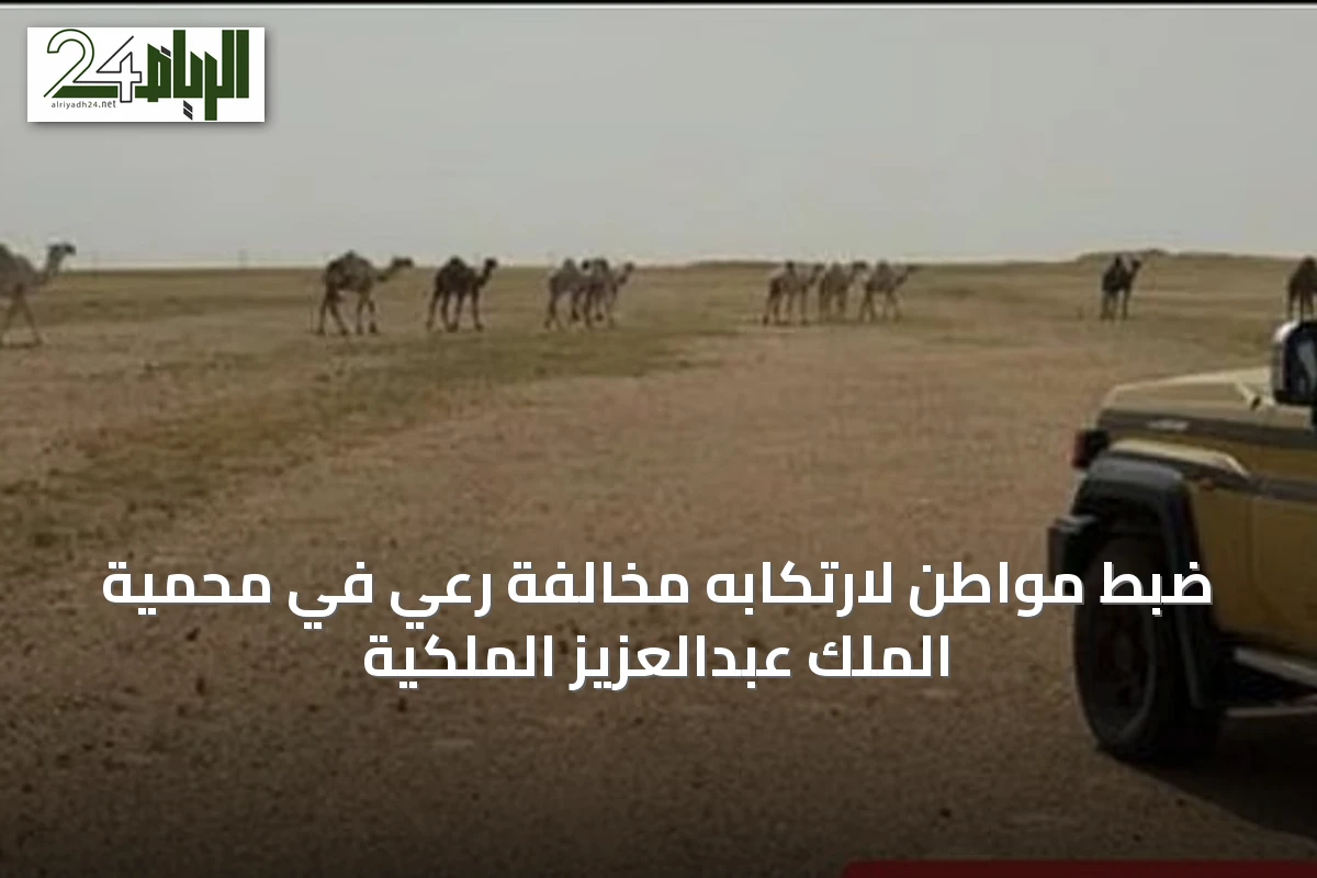 ضبط مواطن لارتكابه مخالفة رعي في محمية الملك عبدالعزيز الملكية