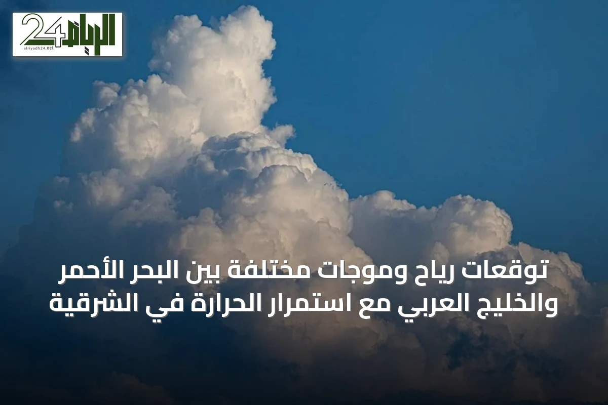 توقعات رياح وموجات مختلفة بين البحر الأحمر والخليج العربي مع استمرار الحرارة في الشرقية