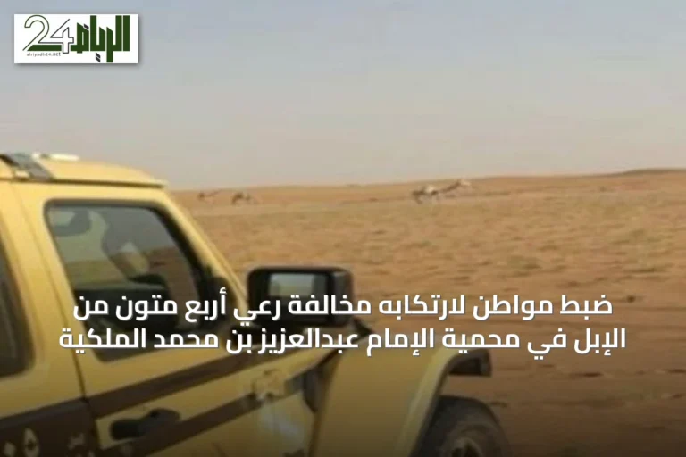ضبط مواطن لارتكابه مخالفة رعي أربع متون من الإبل في محمية الإمام عبدالعزيز بن محمد الملكية