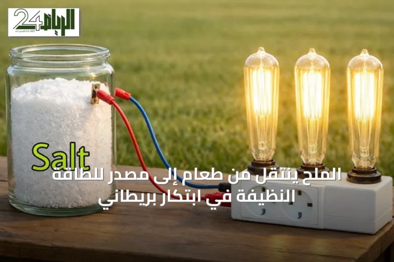 الملح ينتقل من طعام إلى مصدر للطاقة النظيفة في ابتكار بريطاني