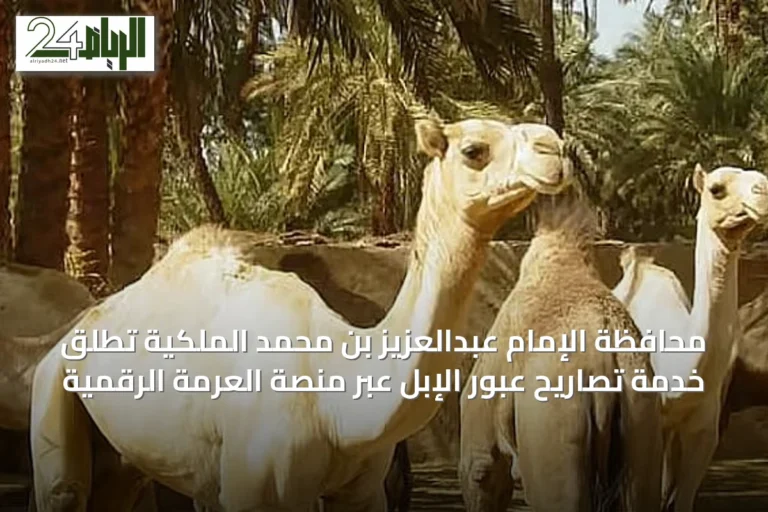 محافظة الإمام عبدالعزيز بن محمد الملكية تُطلق خدمة تصاريح عبور الإبل عبر منصة العرمة الرقمية