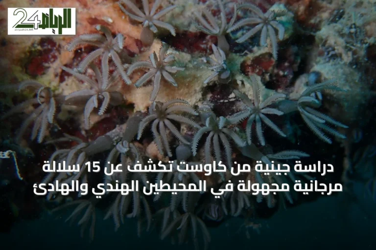 دراسة جينية من كاوست تكشف عن 15 سلالة مرجانية مجهولة في المحيطين الهندي والهادئ